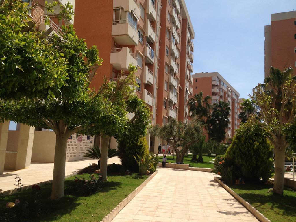 Apartment Playa San Juan 알리칸테 객실 사진