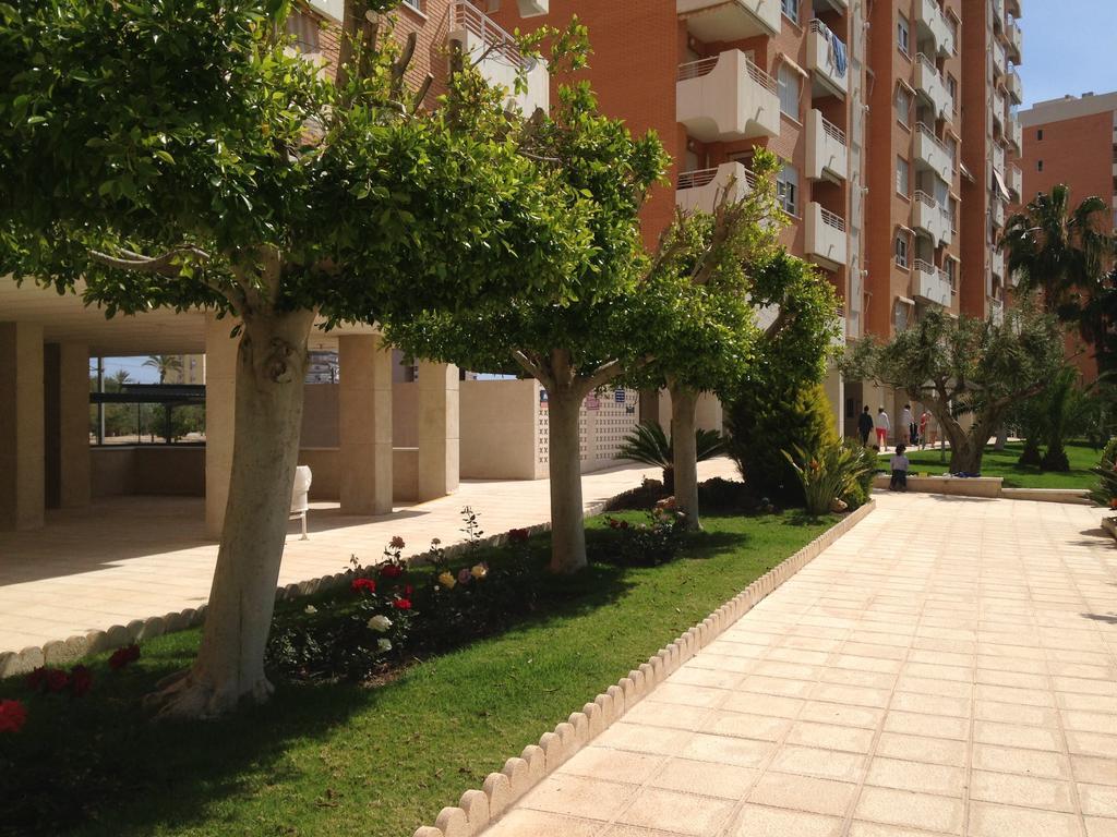 Apartment Playa San Juan 알리칸테 객실 사진